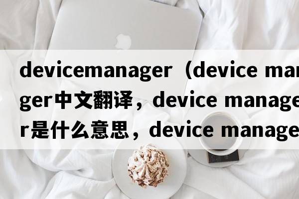 devicemanager（device manager中文翻譯，device manager是什么意思，device manager發(fā)音、用法及例句）