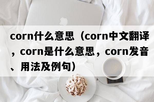 corn什么意思（corn中文翻譯，corn是什么意思，corn發(fā)音、用法及例句）