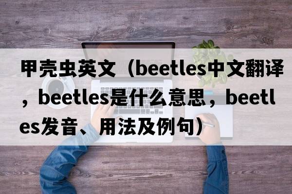 甲殼蟲(chóng)英文（beetles中文翻譯，beetles是什么意思，beetles發(fā)音、用法及例句）