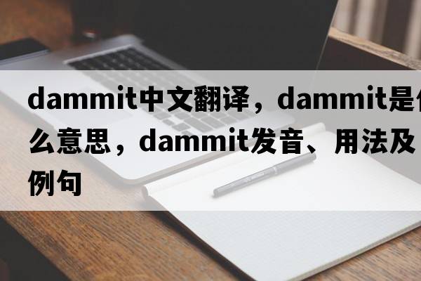 dammit中文翻譯，dammit是什么意思，dammit發(fā)音、用法及例句