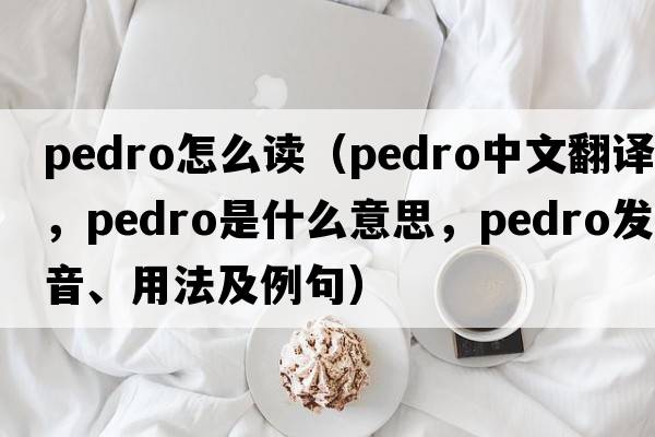 pedro怎么讀（pedro中文翻譯，pedro是什么意思，pedro發(fā)音、用法及例句）