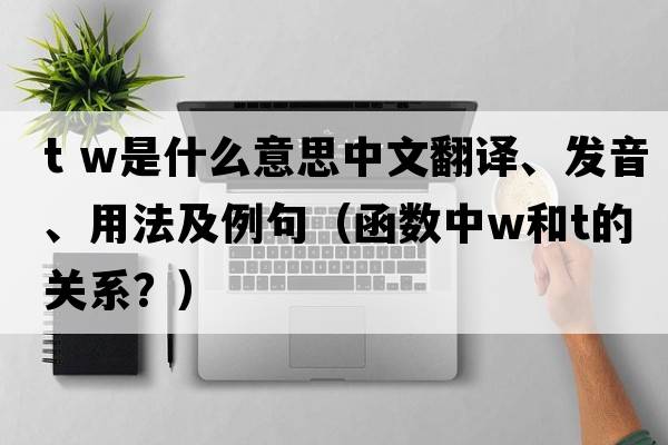 t w是什么意思中文翻譯、發(fā)音、用法及例句（函數中w和t的關(guān)系？）