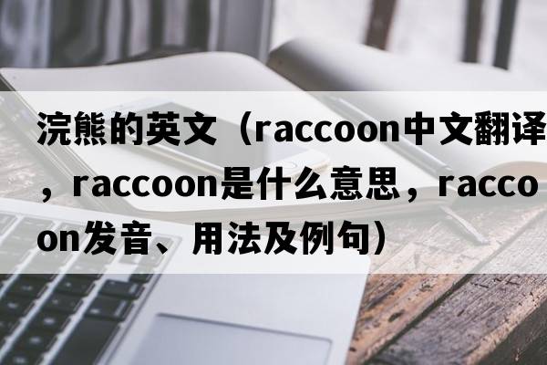 浣熊的英文（raccoon中文翻譯，raccoon是什么意思，raccoon發(fā)音、用法及例句）