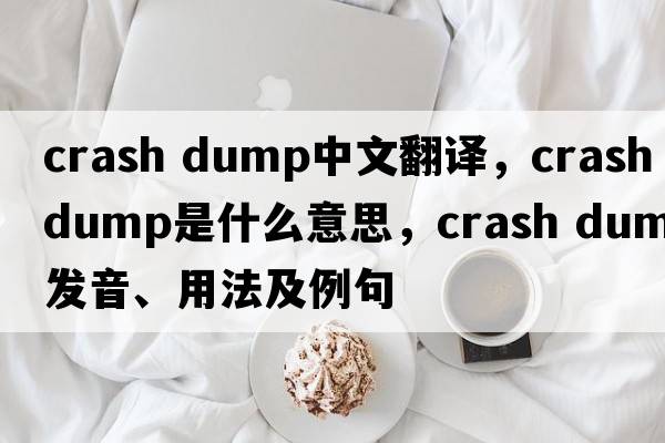 crash dump中文翻譯，crash dump是什么意思，crash dump發(fā)音、用法及例句
