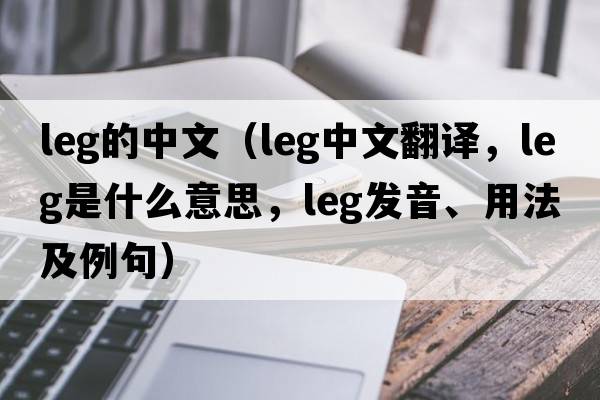 leg的中文（leg中文翻譯，leg是什么意思，leg發(fā)音、用法及例句）