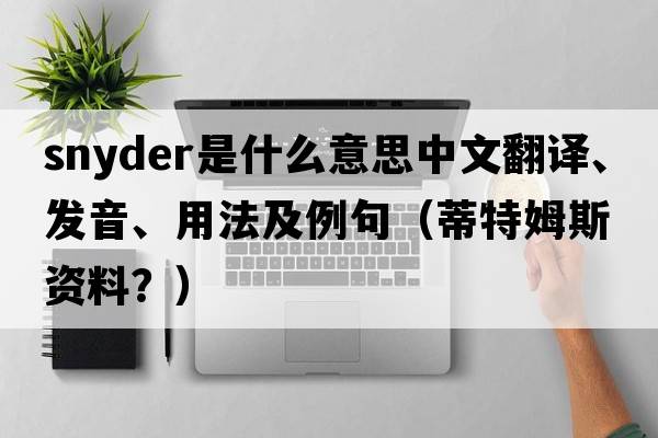 snyder是什么意思中文翻譯、發(fā)音、用法及例句（蒂特姆斯資料？）