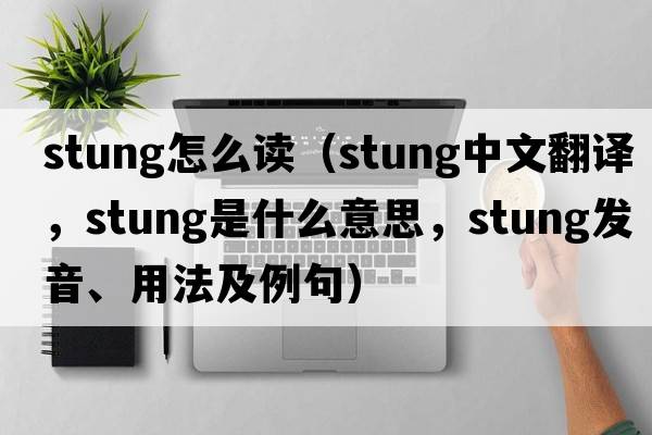 stung怎么讀（stung中文翻譯，stung是什么意思，stung發(fā)音、用法及例句）
