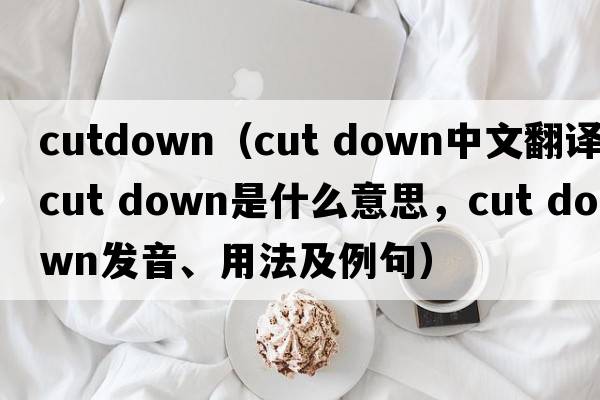 cutdown（cut down中文翻譯，cut down是什么意思，cut down發(fā)音、用法及例句）