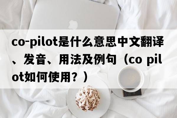 co-pilot是什么意思中文翻譯、發(fā)音、用法及例句（co pilot如何使用？）