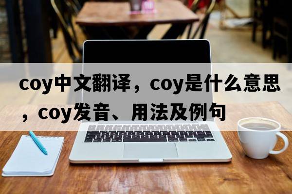 coy中文翻譯，coy是什么意思，coy發(fā)音、用法及例句