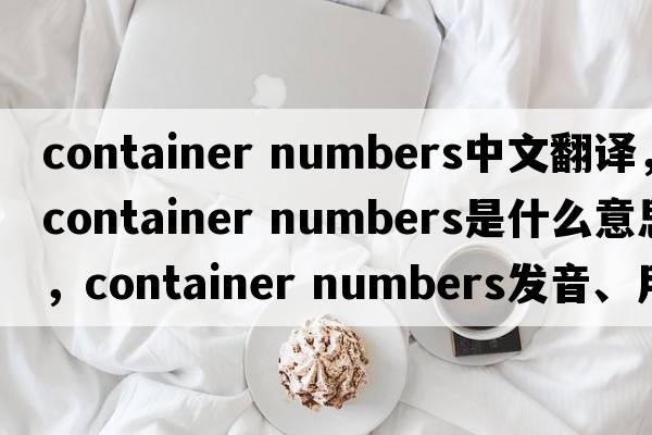 container numbers中文翻譯，container numbers是什么意思，container numbers發(fā)音、用法及例句