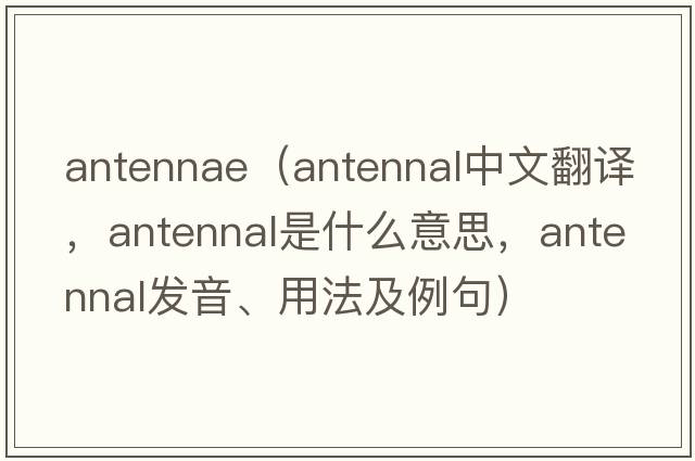 antennae（antennal中文翻譯，antennal是什么意思，antennal發(fā)音、用法及例句）
