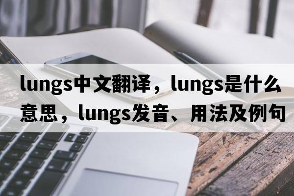 lungs中文翻譯，lungs是什么意思，lungs發(fā)音、用法及例句