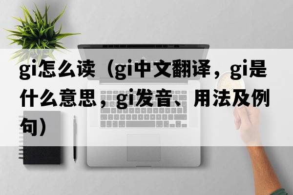 gi怎么讀（gi中文翻譯，gi是什么意思，gi發(fā)音、用法及例句）