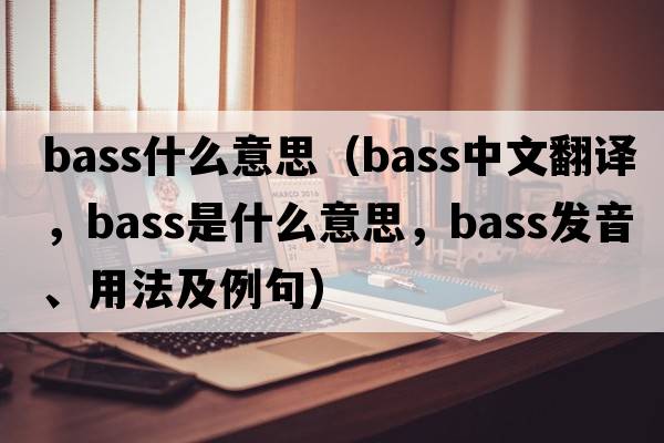 bass什么意思（bass中文翻譯，bass是什么意思，bass發(fā)音、用法及例句）