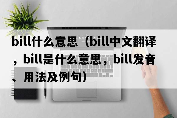 bill什么意思（bill中文翻譯，bill是什么意思，bill發(fā)音、用法及例句）