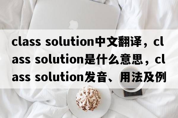 class solution中文翻譯，class solution是什么意思，class solution發(fā)音、用法及例句