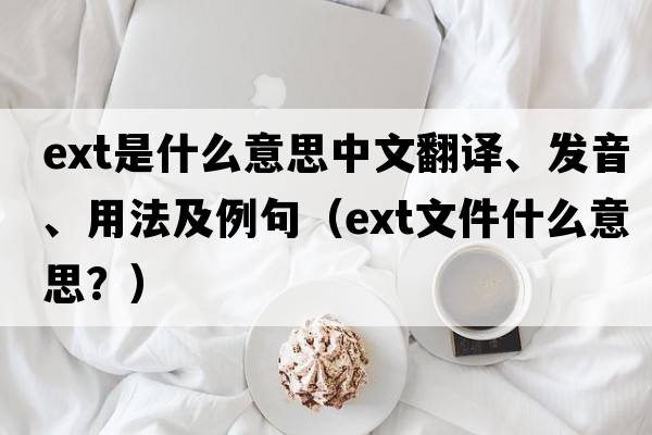 ext是什么意思中文翻譯、發(fā)音、用法及例句（ext文件什么意思？）
