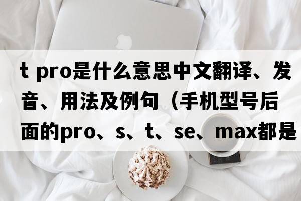 t pro是什么意思中文翻譯、發(fā)音、用法及例句（手機型號后面的Pro、S、T、SE、Max都是什么意思？）