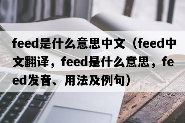 feed是什么意思中文（feed中文翻譯，feed是什么意思，feed發(fā)音、用法及例句）