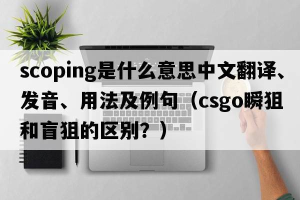 scoping是什么意思中文翻譯、發(fā)音、用法及例句（csgo瞬狙和盲狙的區別？）