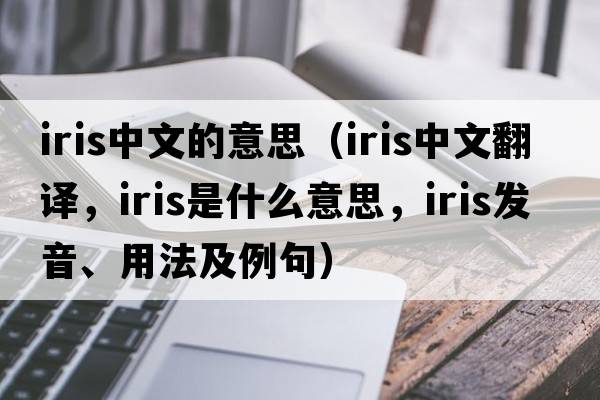 iris中文的意思（iris中文翻譯，iris是什么意思，iris發(fā)音、用法及例句）