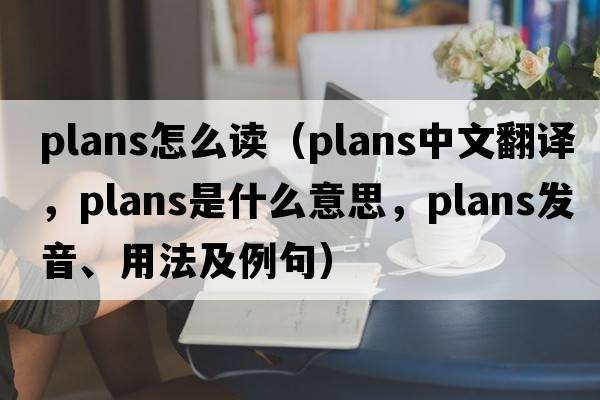 plans怎么讀（plans中文翻譯，plans是什么意思，plans發(fā)音、用法及例句）