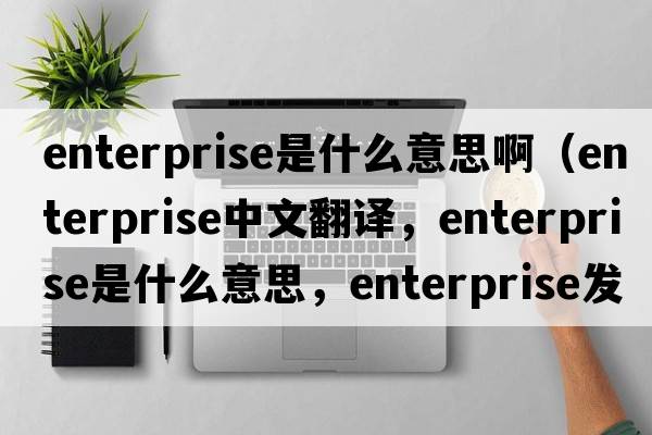 enterprise是什么意思?。╡nterprise中文翻譯，enterprise是什么意思，enterprise發(fā)音、用法及例句）