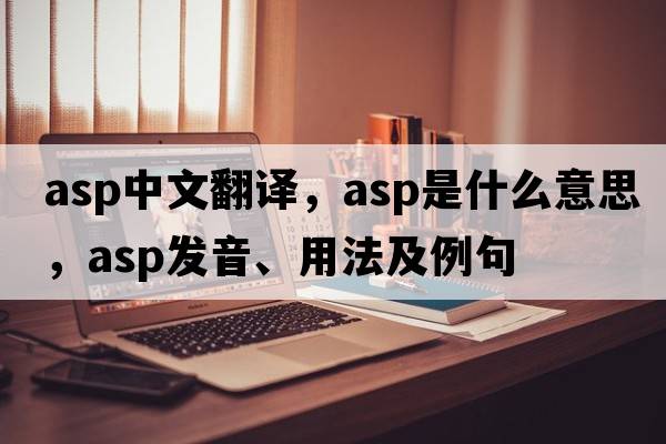 asp中文翻譯，asp是什么意思，asp發(fā)音、用法及例句