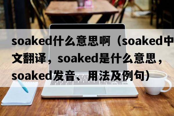soaked什么意思?。╯oaked中文翻譯，soaked是什么意思，soaked發(fā)音、用法及例句）