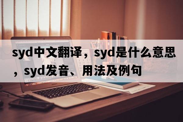 syd中文翻譯，syd是什么意思，syd發(fā)音、用法及例句