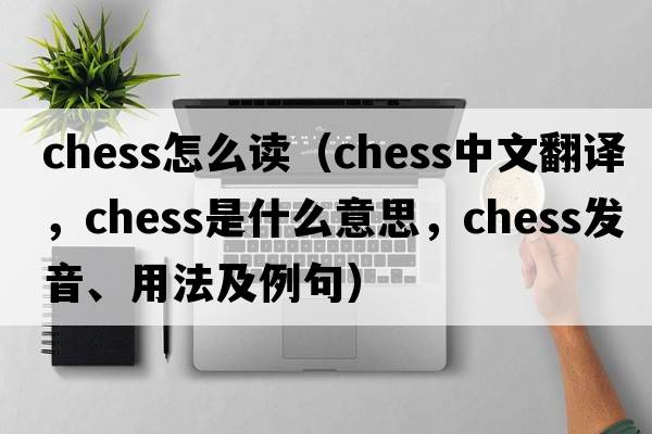 chess怎么讀（chess中文翻譯，chess是什么意思，chess發(fā)音、用法及例句）