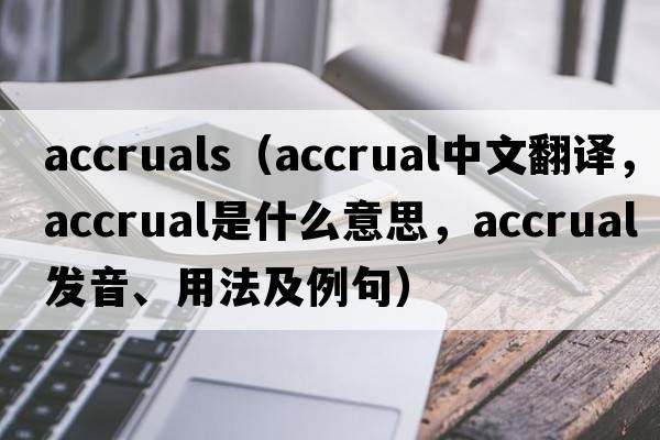 accruals（accrual中文翻譯，accrual是什么意思，accrual發(fā)音、用法及例句）