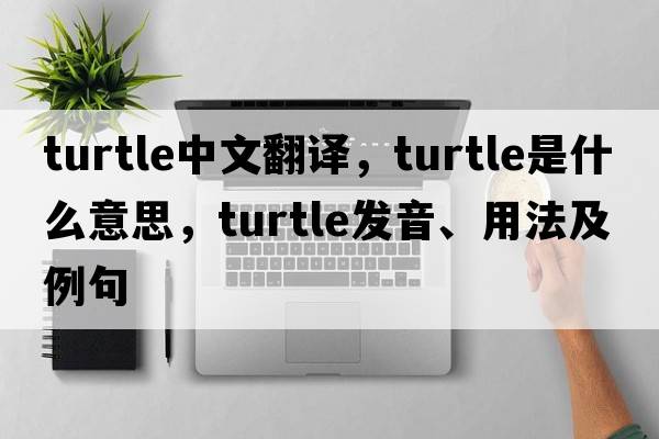 turtle中文翻譯，turtle是什么意思，turtle發(fā)音、用法及例句