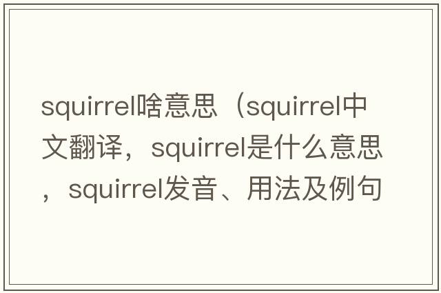 squirrel啥意思（squirrel中文翻譯，squirrel是什么意思，squirrel發(fā)音、用法及例句）