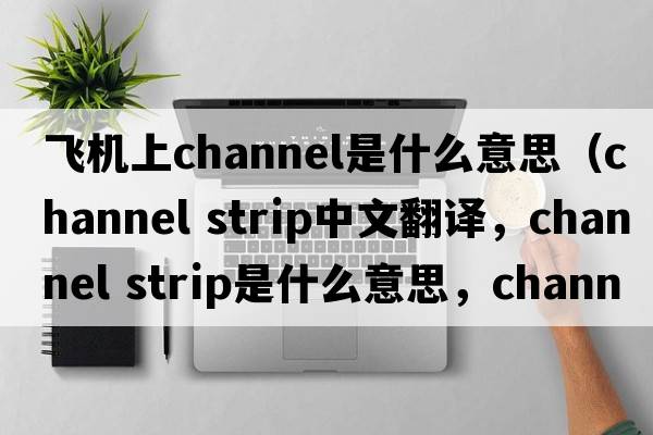 飛機上channel是什么意思（channel strip中文翻譯，channel strip是什么意思，channel strip發(fā)音、用法及例句）