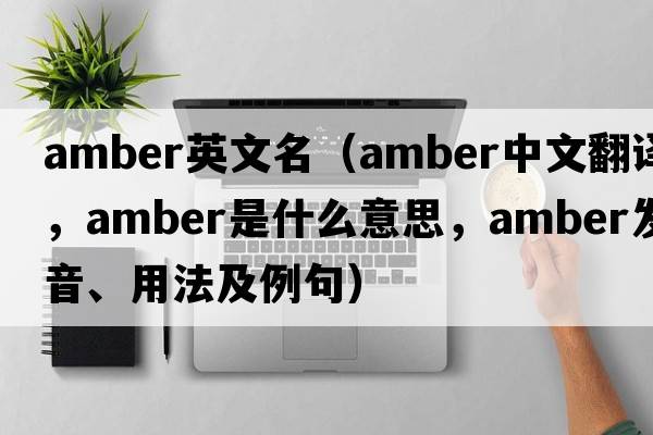 amber英文名（amber中文翻譯，amber是什么意思，amber發(fā)音、用法及例句）