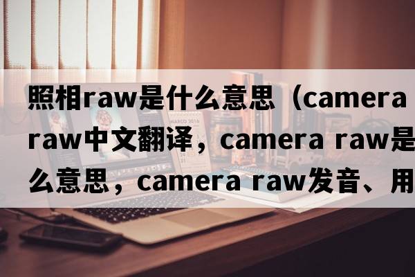 照相raw是什么意思（camera raw中文翻譯，camera raw是什么意思，camera raw發(fā)音、用法及例句）