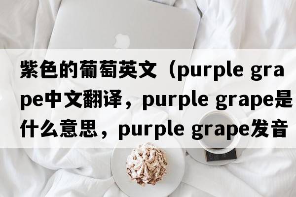 紫色的葡萄英文（purple grape中文翻譯，purple grape是什么意思，purple grape發(fā)音、用法及例句）