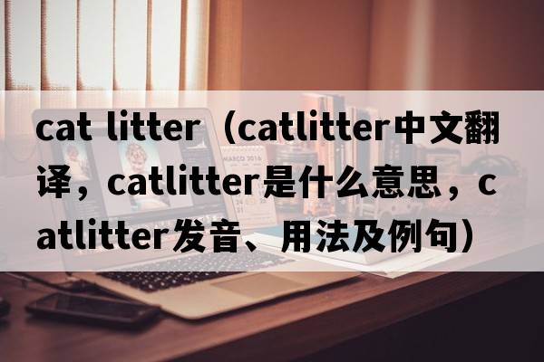 cat litter（catlitter中文翻譯，catlitter是什么意思，catlitter發(fā)音、用法及例句）