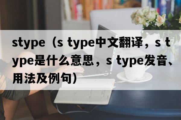 stype（s type中文翻譯，s type是什么意思，s type發(fā)音、用法及例句）