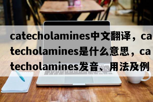 catecholamines中文翻譯，catecholamines是什么意思，catecholamines發(fā)音、用法及例句