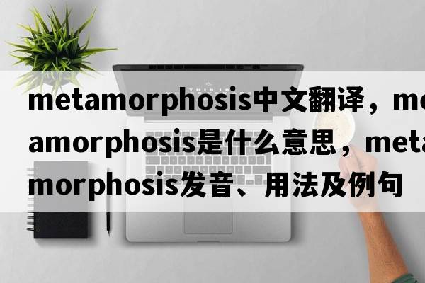 metamorphosis中文翻譯，metamorphosis是什么意思，metamorphosis發(fā)音、用法及例句