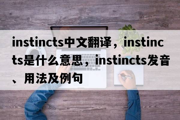 instincts中文翻譯，instincts是什么意思，instincts發(fā)音、用法及例句