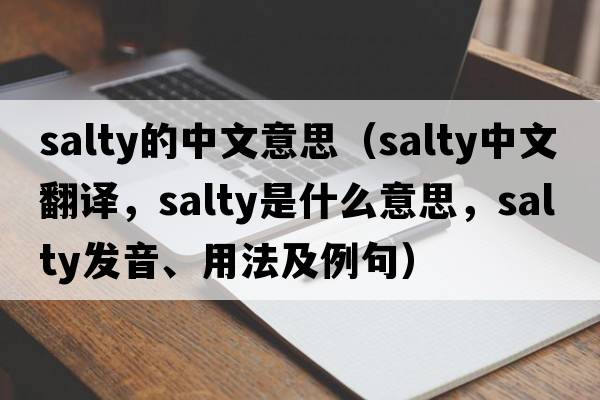 salty的中文意思（salty中文翻譯，salty是什么意思，salty發(fā)音、用法及例句）