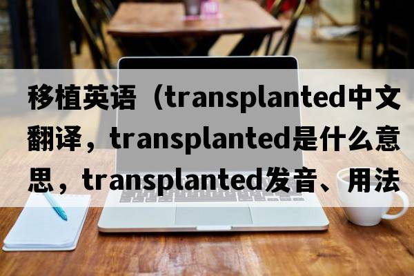 移植英語(yǔ)（transplanted中文翻譯，transplanted是什么意思，transplanted發(fā)音、用法及例句）