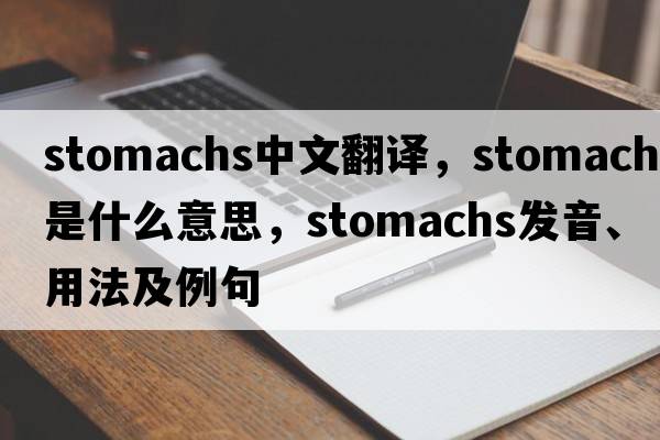 stomachs中文翻譯，stomachs是什么意思，stomachs發(fā)音、用法及例句