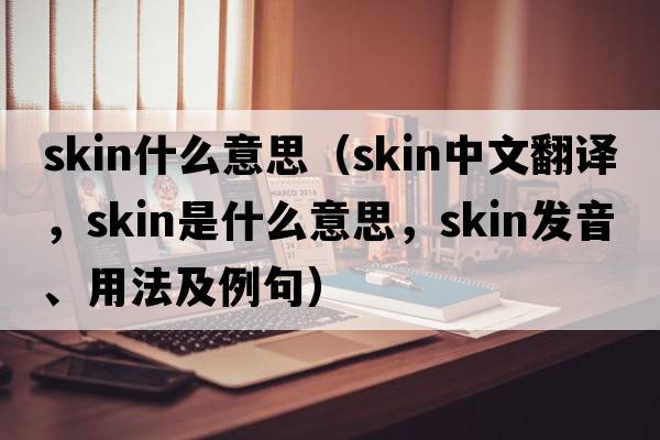 skin什么意思（skin中文翻譯，skin是什么意思，skin發(fā)音、用法及例句）