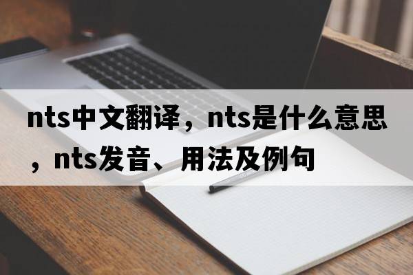 nts中文翻譯，nts是什么意思，nts發(fā)音、用法及例句