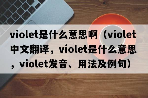 violet是什么意思?。╲iolet中文翻譯，violet是什么意思，violet發(fā)音、用法及例句）